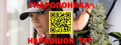 винт Будённовск